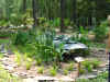 Gardenart.jpg (40630 bytes)